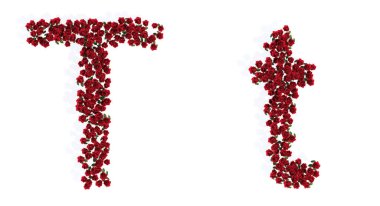 Concept or conceptual set of beautiful blooming red roses bouquets forming the font T. 3d illustration metaphor for education, design and decoration, romance and love, nature, spring or summer.