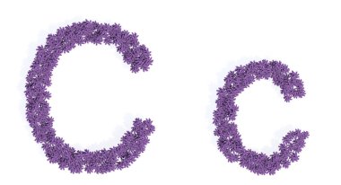 Eğitim, tasarım ve dekorasyon, romantizm ve aşk, doğa, ilkbahar veya yaz için C-3d resim metaforunu oluşturan güzel lupin buketlerinin kavramsal veya kavramsal seti.