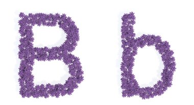 B yazı tipini oluşturan güzel lupin buketlerinin kavramsal veya kavramsal seti. 3 boyutlu eğitim, tasarım ve dekorasyon metaforu, romantizm ve aşk, doğa, ilkbahar veya yaz.