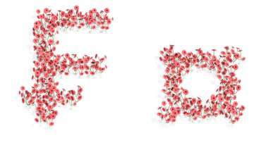 Concept or conceptual set of beautiful blooming gerberas bouquets forming the   and ? signs. 3d illustration metaphor for education, design and decoration, romance and love, nature, spring or summer