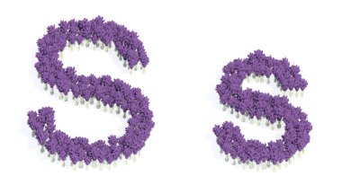 Eğitim, tasarım ve dekorasyon, romantizm ve aşk, doğa, bahar veya yaz için S. 3d yazı tipini oluşturan güzel lupin buketlerinin kavramsal veya kavramsal seti..