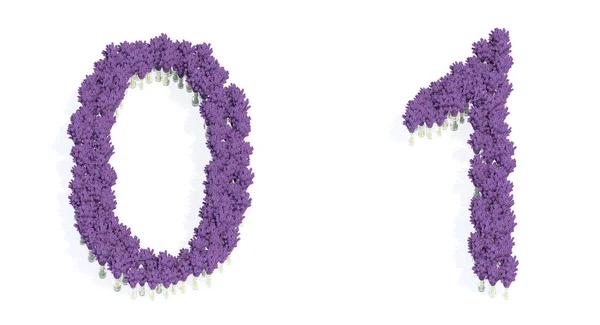 Concept Conceptual Set Beautiful Blooming Lupine Bouquets Forming Fonts Illustration — Fotografia de Stock