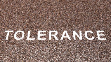 TOLERANCE kelimesini oluşturan kavramsal geniş insan topluluğu. Şefkat, ayrımcılık yapmama, iletişim ve eğitim, beraberlik ve toplum için 3d örnekleme metaforu 