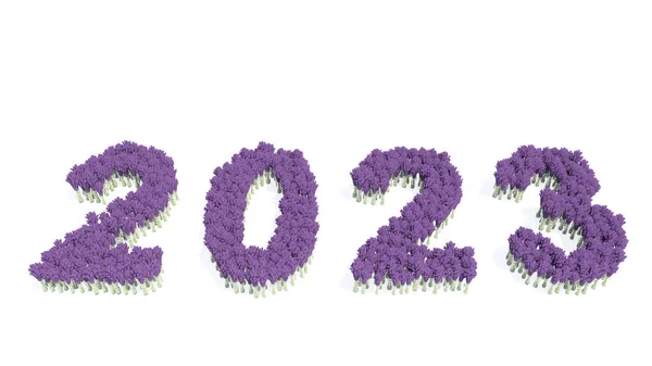 Concept Conceptual Set Beautiful Blooming Lupine Bouquets Forming Year 2023 — Photo