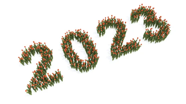 Концепция Концептуальный Набор Красивых Цветущих Букетов Тюльпанов Формирующих 2023 Год — стоковое фото