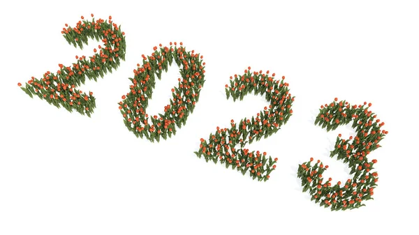 Концепция Концептуальный Набор Красивых Цветущих Букетов Тюльпанов Формирующих 2023 Год — стоковое фото