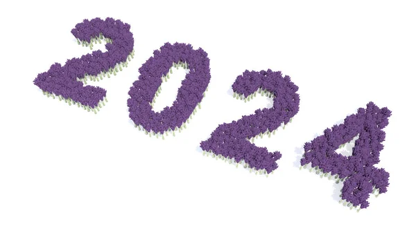 Концепция Концептуальный Набор Красивых Цветущих Люпиновых Букетов Формирующих 2024 Год — стоковое фото