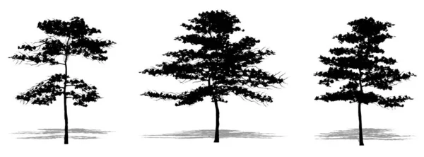 Beyaz Zemin Üzerinde Siyah Bir Siluet Olarak Badem Ağaçları Kümesi — Stok Vektör