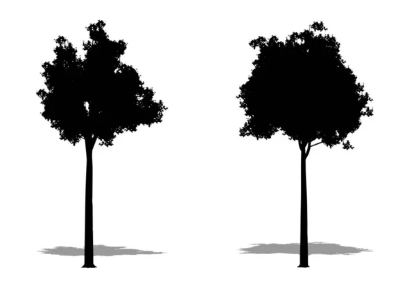 白い背景に黒いシルエットとしてキャンパーローレルの木のセットまたはコレクション 生態学 耐久性 美しさのためのコンセプトまたは概念ベクトル — ストックベクタ