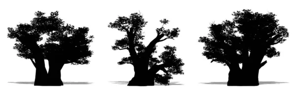 白い背景に黒いシルエットとしてバオバブの木のセットまたはコレクション 生態学 耐久性 美しさのためのコンセプトまたは概念ベクトル — ストックベクタ