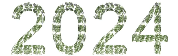 Concept Conceptuele 2024 Jaar Gemaakt Van Groene Spar Patroon Lettertype — Stockfoto