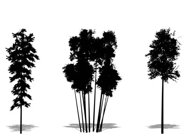Set Verzameling Van Bamboe Bomen Als Zwart Silhouet Witte Achtergrond — Stockvector