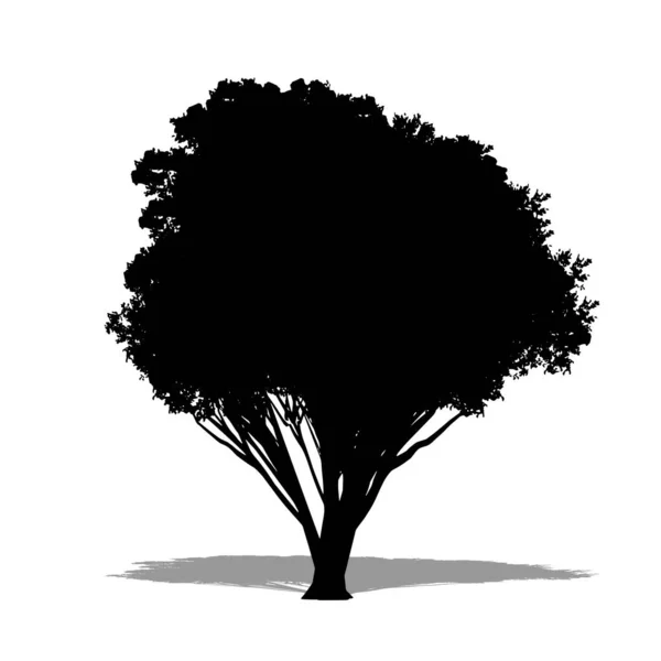 Kuzey Rata Ağaçlarını Beyaz Arka Planda Siyah Bir Siluet Olarak — Stok Vektör