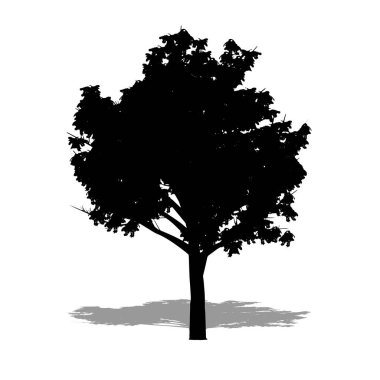 Beyaz arka planda siyah bir siluet olarak Mindanao Gum ağaçlarının seti veya koleksiyonu. Doğa, gezegen, ekoloji ve koruma, güç, dayanıklılık ve güzellik için kavramsal veya kavramsal vektör