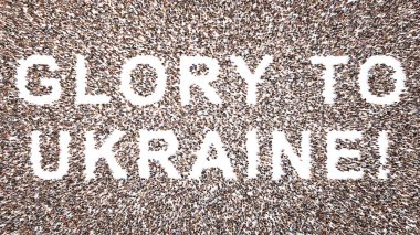 UKRAINE 'a GLORY oluşturan insanların kavramsal ya da kavramsal topluluğu! Mesaj var. Vatanseverlik, kararlılık, motivasyon, cesaret, mücadele, ruh, dayanıklılık ve güç için üç boyutlu metafor