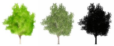 Limon ağaçlarının seti ya da koleksiyonu, boyanmış, doğal ve beyaz arka planda siyah bir siluet olarak. Doğa, ekoloji ve koruma, güç ve güzellik için kavramsal veya kavramsal 3D illüstrasyon