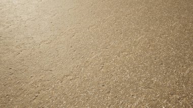 Kavramsal ve kavramsal altın kumlu kumlu plajlar. Deniz kabuğu arkaplanı ve kaba bir dokusu var. Doğa, egzotik, seyahat, tatil ve yaşam tarzı metaforu olarak üç boyutlu bir illüstrasyon