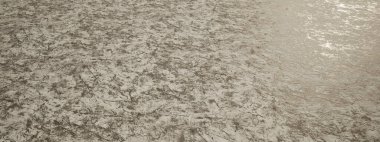 Kavramsal ya da kavramsal olarak kaygan ve parlak buzlu arka plan. Doğa, kış, açık hava, tatil, spor, eğlence ve eğlence, turizm ve macera metaforu olarak 3D illüstrasyon