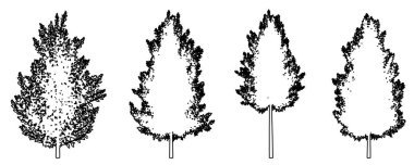 Eagleston Savannah Holly ağaçlarının koleksiyonu siyah çizgi olarak beyaz arka plana siluet çiziyor. Doğa, gezegen, ekolojik koruma, güç, dayanıklılık ve güzellik için kavramsal veya kavramsal vektör