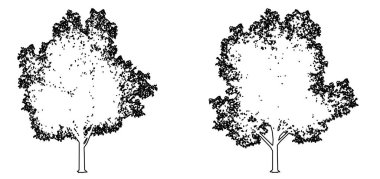 Limon Ağacı 'nın koleksiyonunu siyah çizgi olarak beyaz arkaplana çizerek oluşturun. Doğa, gezegen, ekolojik koruma, güç, dayanıklılık ve güzellik için kavramsal veya kavramsal vektör