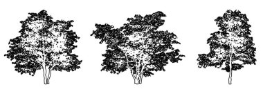 Çiçekli Dogwood ağaçlarının koleksiyonunu siyah çizgi olarak beyaz arkaplana çizerek oluşturun. Doğa, gezegen, ekolojik koruma, güç, dayanıklılık ve güzellik için kavramsal veya kavramsal vektör