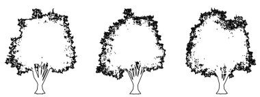 Japon Pagoda ağaçlarının beyaz zemin üzerine siyah çizgi şeklinde siluet çizimi ya da koleksiyonu. Doğa, gezegen, ekolojik koruma, güç, dayanıklılık ve güzellik için kavramsal veya kavramsal vektör