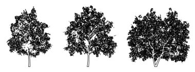 Magnolia Çiçekleri ağaçlarını beyaz arkaplana siyah çizgi şeklinde çizer. Doğa, gezegen, ekolojik koruma, güç, dayanıklılık ve güzellik için kavramsal veya kavramsal vektör