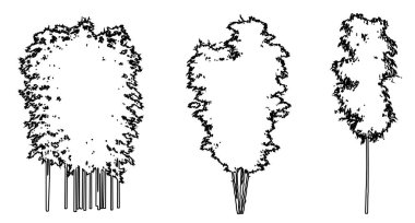 Bambu ağaçlarını beyaz arkaplana siyah çizgi şeklinde çizin veya toplayın. Doğa, gezegen, ekolojik koruma, güç, dayanıklılık ve güzellik için kavramsal veya kavramsal vektör