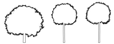 Globe kiraz ağaçlarının koleksiyonunu siyah çizgi olarak beyaz arkaplana çizerek oluşturun. Doğa, gezegen, ekolojik koruma, güç, dayanıklılık ve güzellik için kavramsal veya kavramsal vektör