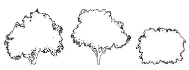 Japon Chesewood ağaçlarının siyah çizgi şeklinde beyaz arka plana siluet çizimi ya da koleksiyonu. Doğa, gezegen, ekolojik koruma, güç, dayanıklılık ve güzellik için kavramsal veya kavramsal vektör