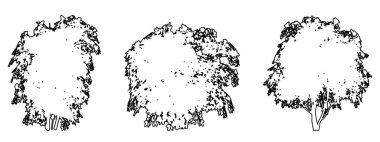 Japon kamelya ağaçlarını siyah çizgi olarak beyaz arkaplana siluet çizerek dizin veya toplayın. Doğa, gezegen, ekolojik koruma, güç, dayanıklılık ve güzellik için kavramsal veya kavramsal vektör