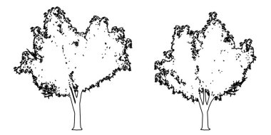 Bal Çekirgesi ağaçlarının koleksiyonunu siyah çizgi olarak beyaz arkaplana siluet çizer. Doğa, gezegen, ekolojik koruma, güç, dayanıklılık ve güzellik için kavramsal veya kavramsal vektör