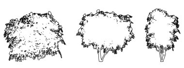 Japon kamelya ağaçlarını siyah çizgi olarak beyaz arkaplana siluet çizerek dizin veya toplayın. Doğa, gezegen, ekolojik koruma, güç, dayanıklılık ve güzellik için kavramsal veya kavramsal vektör