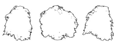 Japon Chesewood ağaçlarının siyah çizgi şeklinde beyaz arka plana siluet çizimi ya da koleksiyonu. Doğa, gezegen, ekolojik koruma, güç, dayanıklılık ve güzellik için kavramsal veya kavramsal vektör