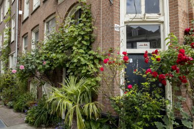Amsterdam 'da bir yürüyüş Jordaan' da