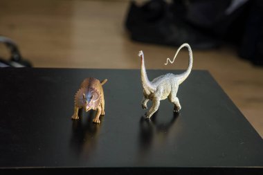 Triceratops ve Diplodocus dinozorlarının iki figürü çocukların bir zamanlar Dünya 'da yaşamış canlıları hatırlatmak ve onlarla oynamayı sevdikleri siyah bir masa üzerinde.