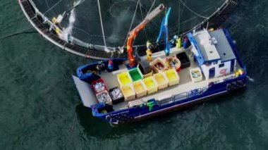 Aquaculture Sea Farm for the Food Market 'ten Balık Yakalandı