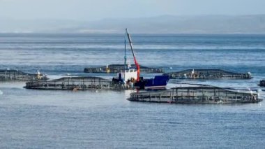 Pazar İçin Su Kültürü Deniz Çiftliği 'nden Balık Avlayan Teknedeki İşçiler