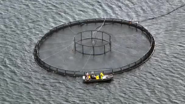 Mořská Farma Akvakulturní Sítě Oceánu Používané Pro Intenzivní Chov Ryb — Stock video