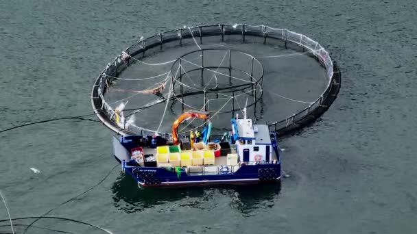 Workers Boat Catching Fish Intensive Aquaculture Sea Farm — Stock Video