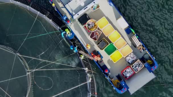 Werknemers Een Boot Vissen Vangen Van Een Intensieve Aquacultuur Sea — Stockvideo
