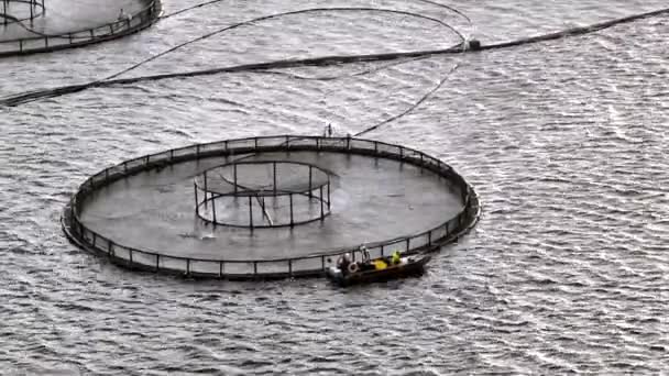 Zeeboerderij Aquacultuur Netten Oceaan Gebruikt Voor Viskwekerijen — Stockvideo