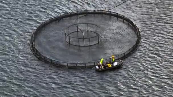 Zeeboerderij Aquacultuur Netten Oceaan Gebruikt Voor Intensieve Viskweek — Stockvideo