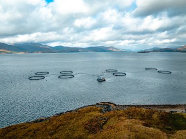 Balıkçılık Çiftliği Deniz Ağları Pazar için Balık Tutardı