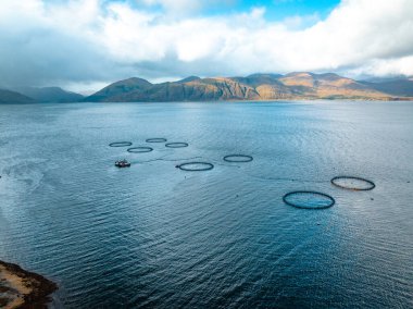 Aquaculture Deniz Çiftliği Kalemleri Piyasa İçin Balık Deposu Tutuyor