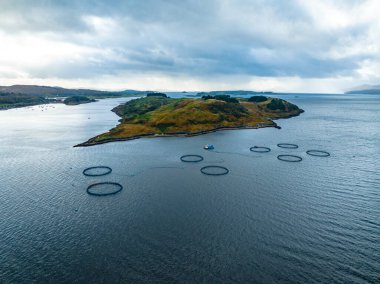 Balıkçılık Çiftliği Deniz Ağları Pazar için Balık Tutardı