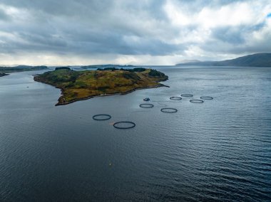 Aquaculture Deniz Çiftliği Kalemleri Piyasa İçin Balık Deposu Tutuyor