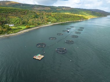 Balıkçılık Çiftliği Deniz Ağları Pazar için Balık Tutardı