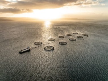 Bir Su Kültürü Deniz Çiftliğinin Günbatımı Hava Görüntüsü