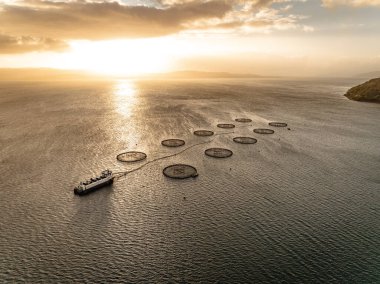 Sunset Havacılık Manzarasında Su Kültürü Deniz Çiftliği